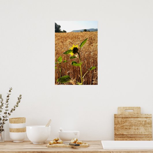 ひまわり及び小麦 ポスター (キッチン)