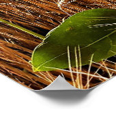 ひまわり及び小麦 ポスター (角)