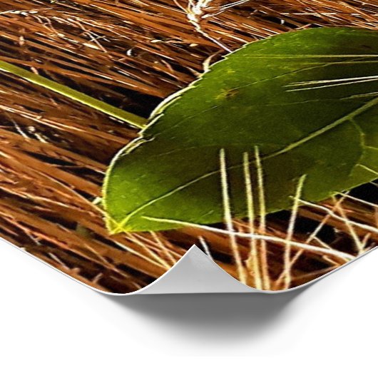 ひまわり及び小麦 ポスター (角)