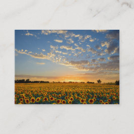 ひまわり名刺2 名刺