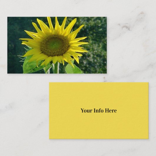 ひまわり名刺 名刺 (正面/裏面)