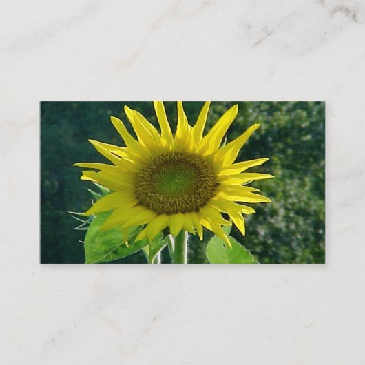 ひまわり名刺 名刺 (正面)