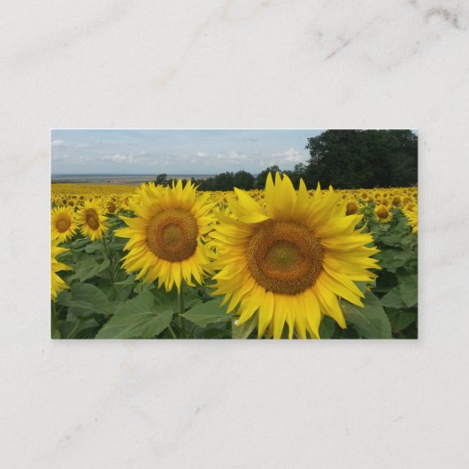 ひまわり名刺 名刺 (裏面)