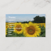 ひまわり名刺 名刺 (正面)