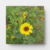ひまわり吹は風に吹かれて フォトプラーク (正面)