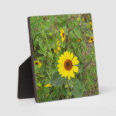 ひまわり吹は風に吹かれて フォトプラーク (正面)