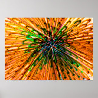 ひまわり器官 ポスター