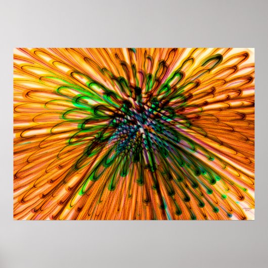 ひまわり器官 ポスター (正面)