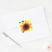 ひまわり四角ステッカー スクエアシール (封筒)