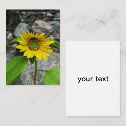 ひまわり囲いカード エンクロージャーカード (正面/裏面)