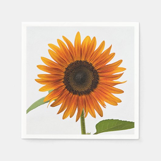 ひまわり夏夕べ スタンダードカクテルナプキン (正面)