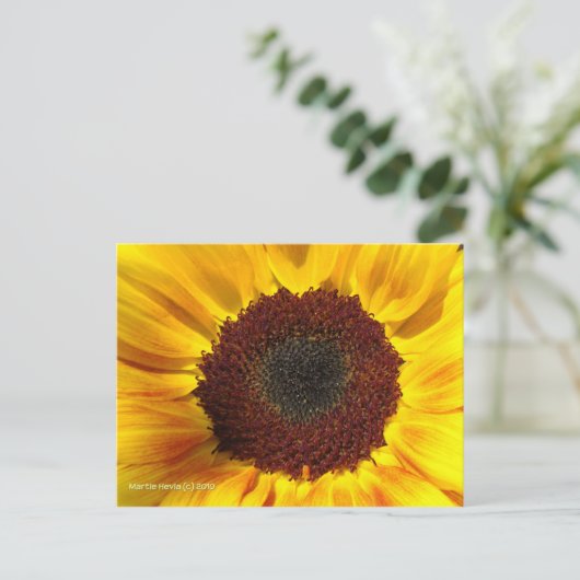 ひまわり太陽 – はがき (スタンド正面)