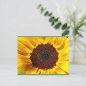 ひまわり太陽 | ブルービーチソング™はがき ポストカード (スタンド正面)