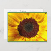 ひまわり太陽 | ブルービーチソング™はがき ポストカード (正面/裏面)