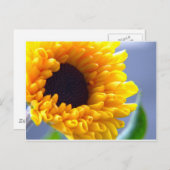 ひまわり季節のインスピレーション ポストカード (正面/裏面)