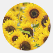 ひまわり封筒用シールシール ラウンドシール (正面)