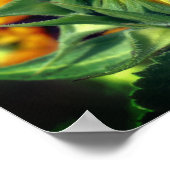 ひまわり展開 ポスター (角)