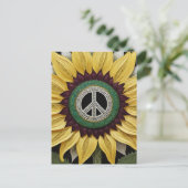 ひまわり平和サイン ポストカード (スタンド正面)