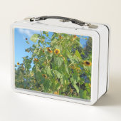 ひまわり弁当箱 メタルランチボックス (裏面)