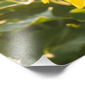 ひまわり引用文「花は幸せ」 フォトプリント            (角)