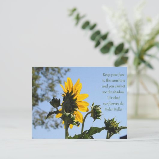 ひまわり感動的はがき ポストカード (スタンド正面)