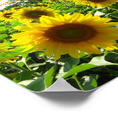 ひまわり感動的ポスター ポスター (角)