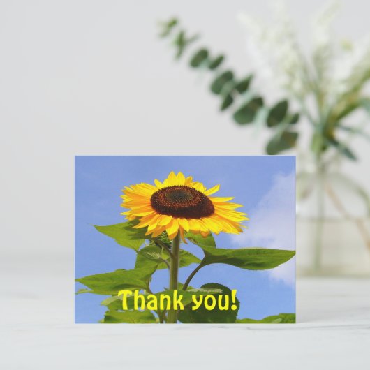 ひまわり感謝してい~はがき ポストカード (スタンド正面)