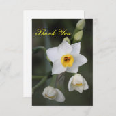 ひまわり感謝カード サンキューカード (正面/裏面)