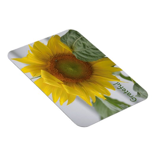 ひまわり感謝 マグネット (右側)