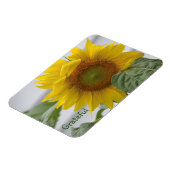 ひまわり感謝 マグネット (左側)