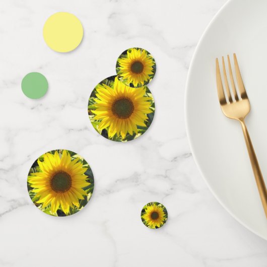 ひまわり感 コンフェッティ (グループ)