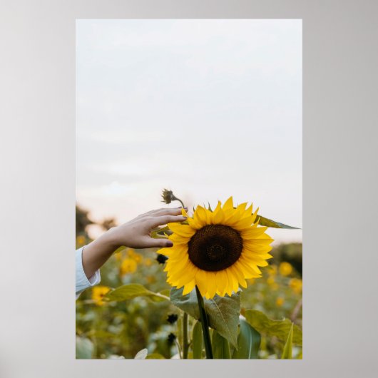 ひまわり持ち ポスター (正面)