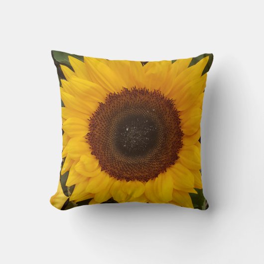 ひまわり撮影フローラ枕 クッション (正面)