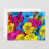 ひまわり数々のはがき ポストカード (正面/裏面)