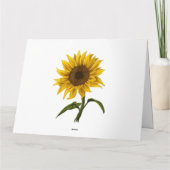 ひまわり日照フローラ水彩花 カード (裏面)