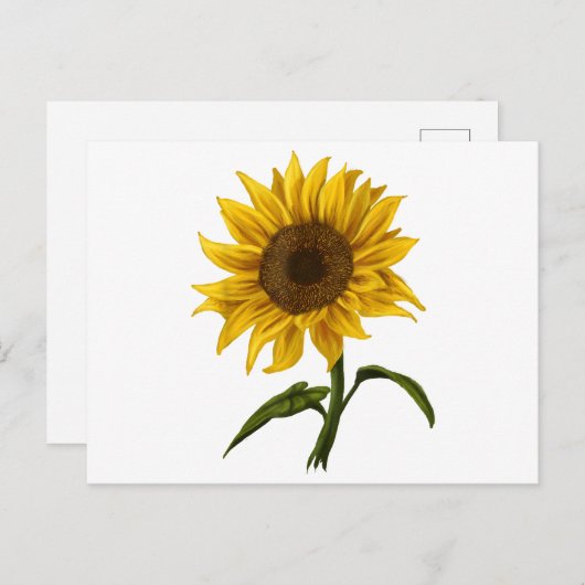 ひまわり日照フローラ水彩花 シーズンポストカード (正面/裏面)