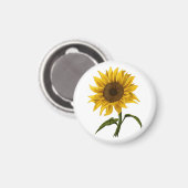 ひまわり日照フローラ水彩花 マグネット (正面/裏面)