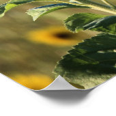 ひまわり日 ポスター (角)