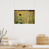 ひまわり日 ポスター (キッチン)