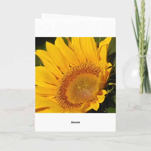 ひまわり早く治る カード (裏面)