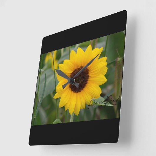 ひまわり時計 スクエア壁時計 (傾斜)