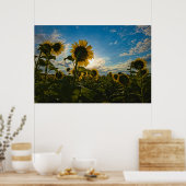 ひまわり朝 ポスター (キッチン)