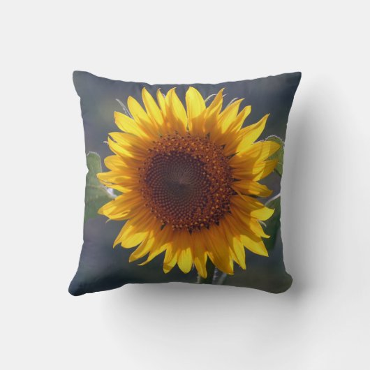 ひまわり枕 クッション (裏面)