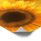 ひまわり柄、黄色い美しい、 ポスター (角)