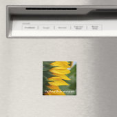 ひまわり植物磁石 マグネット (インサイチュ (食洗機))