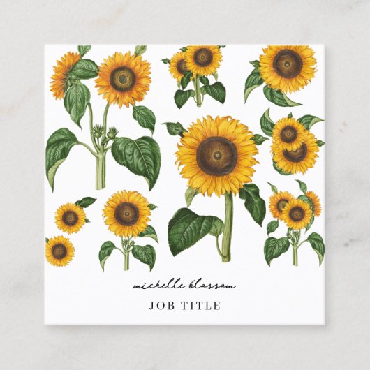 ひまわり植物葉緑QRコード スクエア名刺 (正面)