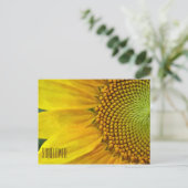 ひまわり水平はがき ポストカード (スタンド正面)