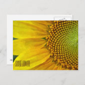 ひまわり水平はがき ポストカード (正面/裏面)