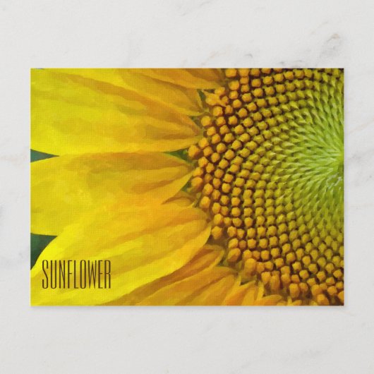 ひまわり水平はがき ポストカード (正面)