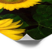 ひまわり永遠 ポスター (角)